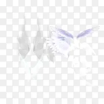 白色羽毛-空若网 白色羽毛-空若网