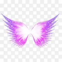 翅膀-空若网 翅膀-空若网