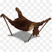 动物皮毛-空若网 动物皮毛-空若网