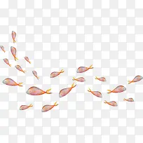 彩色鱼群-空若网 彩色鱼群-空若网