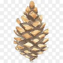 手绘松果-空若网 手绘松果-空若网