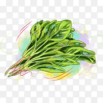 矢量菠菜-空若网 矢量菠菜-空若网