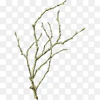 ·º°×µÄÊ÷Ö¦-¿ÕÈôÍø ·º°×µÄÊ÷Ö¦-¿ÕÈôÍø