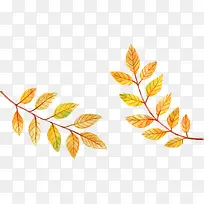 ��ͨ�ֻ�ݻ���Ҷ-������