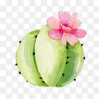 �ֻ�ˮ�ʹ�ʵ-������