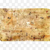 ���Ż��ܱ�ֽ����-������