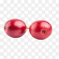 ���ų��췴��Ŀ��ȹ�ʵ��-������