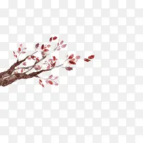 ��Ⱦ��֦-������