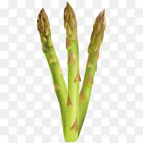 ����«���߲�-������