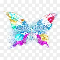 彩色蝴蝶-空若网 彩色蝴蝶-空若网