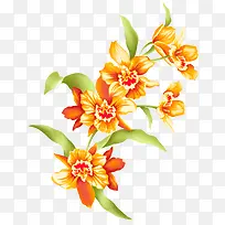 橙色花-空若网 橙色花-空若网