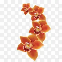 手绘橙色兰花矢量图-空若网 手绘橙色兰花矢量图-空若网