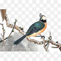 �ֻ����-������