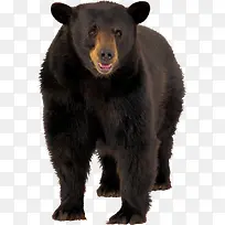 ���ﹷ�ܺ���png-������