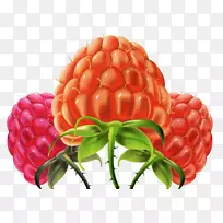 覆盆子果意波斯科图标-覆盆子创意手绘效果-空若网 覆盆子果意波斯科图标-覆盆子创意手绘效果-空若网