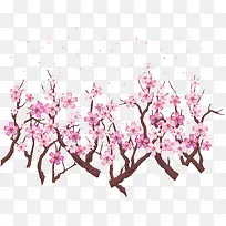 春天飞舞樱花树枝-空若网 春天飞舞樱花树枝-空若网