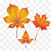 ����ķ�Ҷ-������