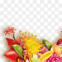 �ջ��ز�ͼƬ-������