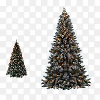 ����ѩ����֦����-������