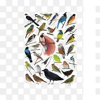 ��ͨ�����ȫ-������