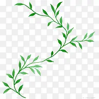 绿色的小树枝-空若网 绿色的小树枝-空若网