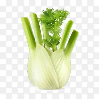 ¿¨Í¨Êß²Ë×°ÊÎ13-¿ÕÈôÍø ¿¨Í¨Êß²Ë×°ÊÎ13-¿ÕÈôÍø