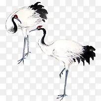 红色顶冠白色丹顶鹤-空若网 红色顶冠白色丹顶鹤-空若网