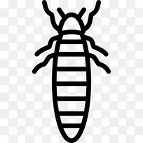 À¥³æµçÄÔͼ±ê.Ó©»ð³æ-¿ÕÈôÍø À¥³æµçÄÔͼ±ê.Ó©»ð³æ-¿ÕÈôÍø