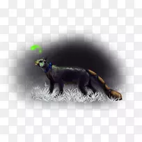 �ܶ���ȺҰ������ʳ��ө���-������