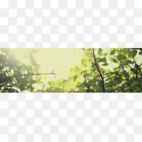 ������ɫΨ������-������