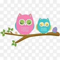 ��֦�ϵĲ�ɫèͷӥ-������