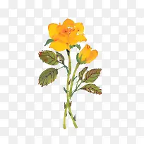 手绘玫瑰-空若网 手绘玫瑰-空若网