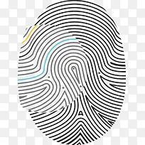 指纹-空若网 指纹-空若网