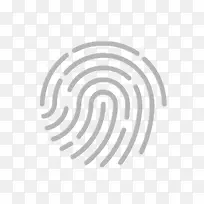 ָ��-������