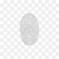 指纹-空若网 指纹-空若网