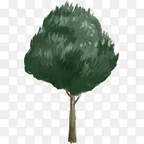 可爱手绘绿树-空若网 可爱手绘绿树-空若网