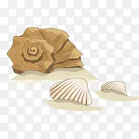 沙滩贝壳设计-空若网 沙滩贝壳设计-空若网