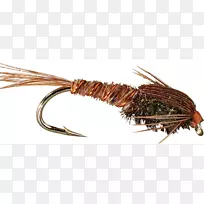 昆虫无脊椎动物,鸡尾若虫,害虫,苍蝇-空若网 昆虫无脊椎动物,鸡尾若虫,害虫,苍蝇-空若网