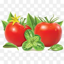 精美有机蔬菜西红柿-空若网 精美有机蔬菜西红柿-空若网