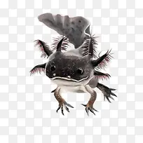 ʸ�����-������