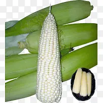 ���ʰ�ɫ��������-������