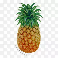 热带水果菠萝拉伸-菠萝-空若网 热带水果菠萝拉伸-菠萝-空若网