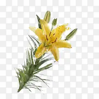 ˮ�ʻ�ɫ�ٺϻ�-������