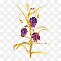 手绘枯萎的花朵植物-空若网 手绘枯萎的花朵植物-空若网