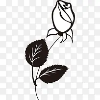 玫瑰花朵-空若网 玫瑰花朵-空若网