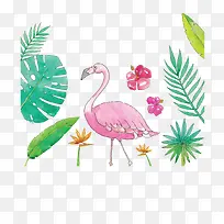 ˮ���ֻ���Ҷ������-������