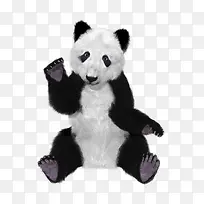 可爱的熊猫-空若网 可爱的熊猫-空若网