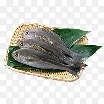 ���������������¨-������