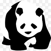 可爱的大熊猫-空若网 可爱的大熊猫-空若网