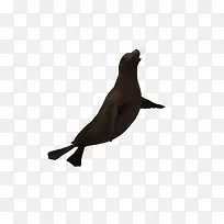 海底动物-空若网 海底动物-空若网